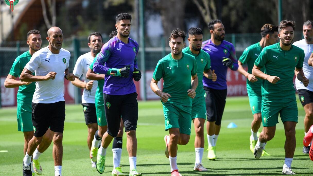 Vahid Halilhodzic lors de Maroc-Soudan.