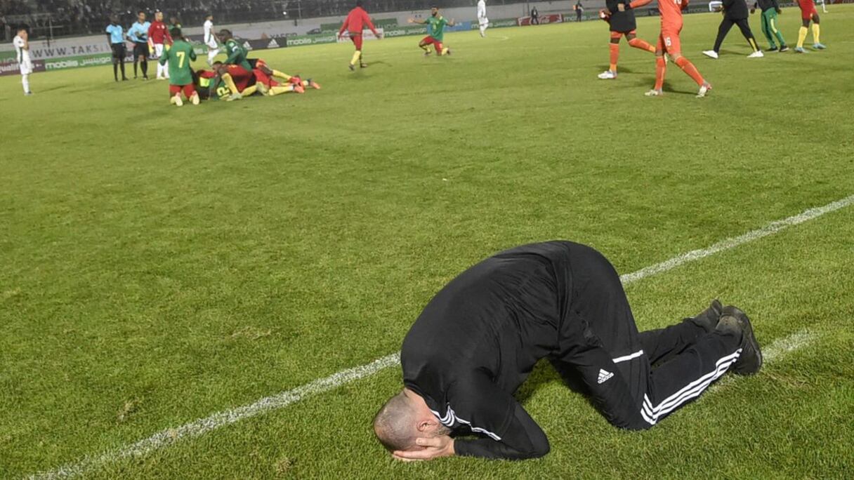 La détresse de Djamel Belmadi après l'élimination de l'Algérie face au Cameroun.