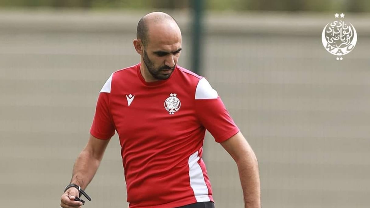 Entraîneurs botolistes