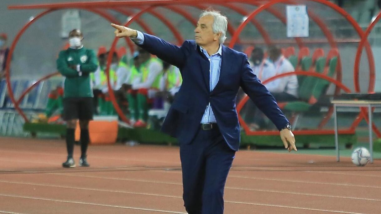 Vahid Halilhodzic, sélectionneur national.