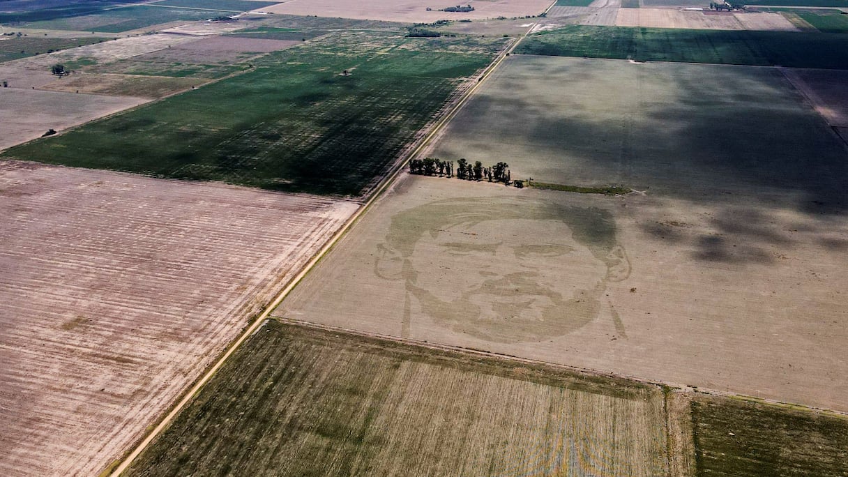 Un champ de maïs en Argentine a un «tatouage» du visage de Lionel Messi.