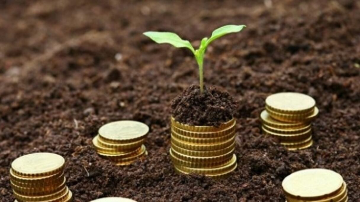 La transparence des compétitions sportives est désormais encadrée par une loi au Maroc.