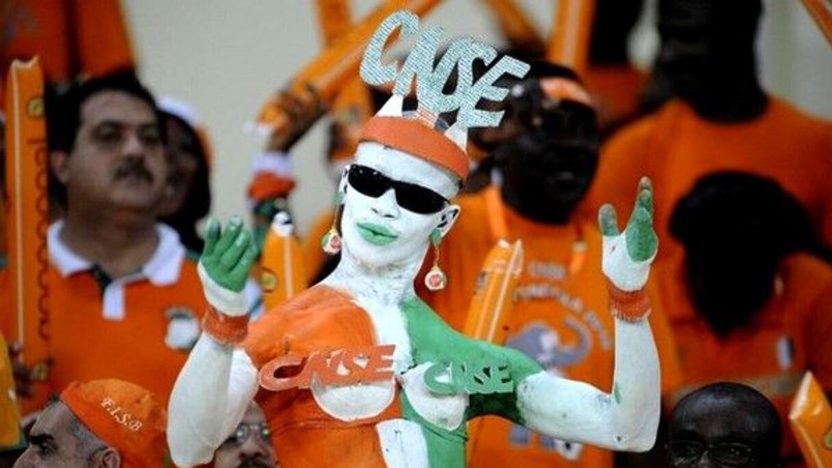 CNSE: Comité National de Soutien aux Éléphants