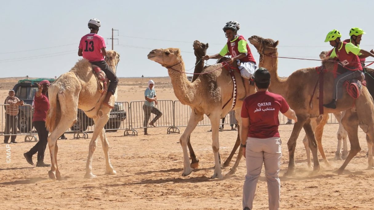 Festival international Sakia El Hamra de la course de dromadaires.