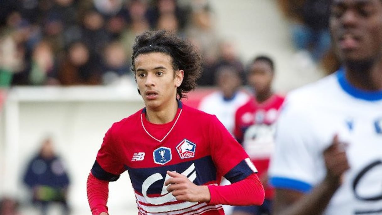 Ayyoub Bouaddi, joueur de LOSC