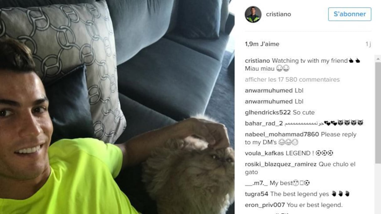Après l’effort, le réconfort. Cristiano Ronaldo profite de ses vacances en regardant, tranquillement, la télévision avec son chat.