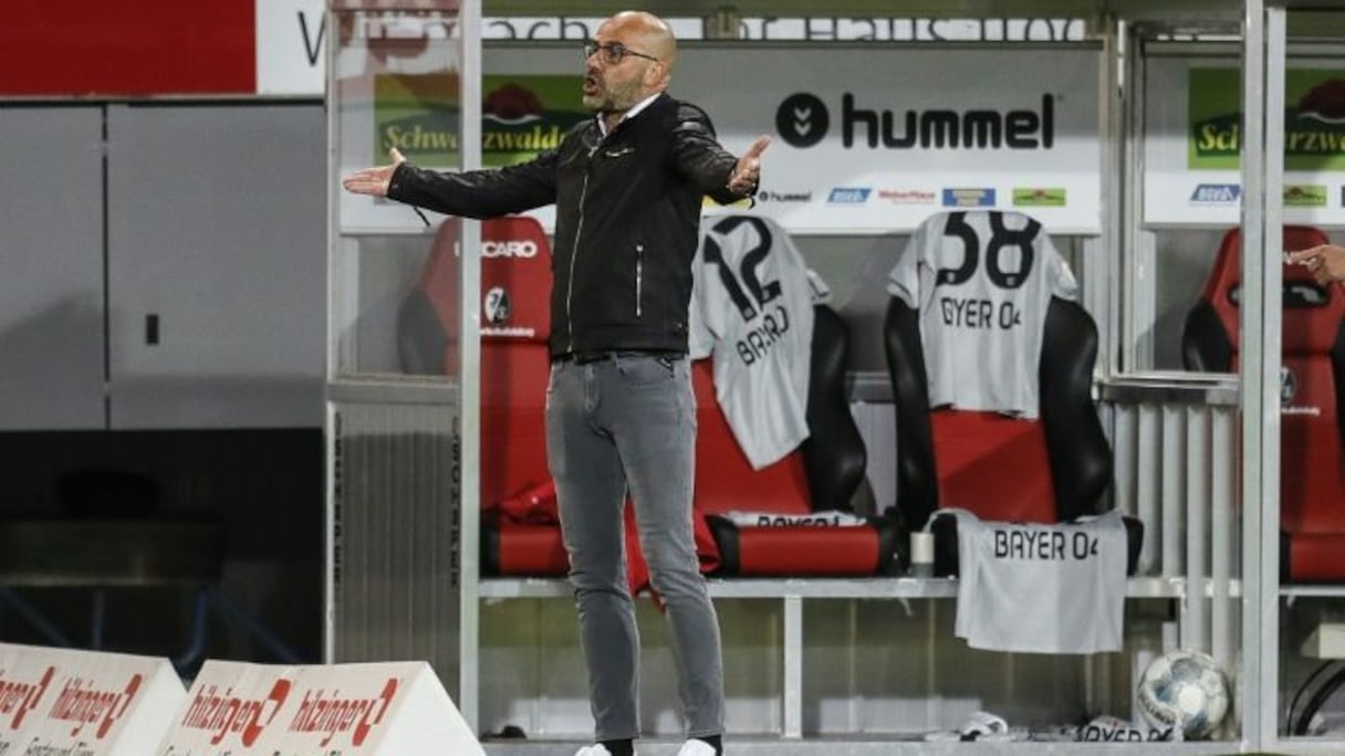 L'entraîneur de Leverkusen, Peter Bosz, lors du match de Bundesliga à Fribourg, le 29 mai 2020.
