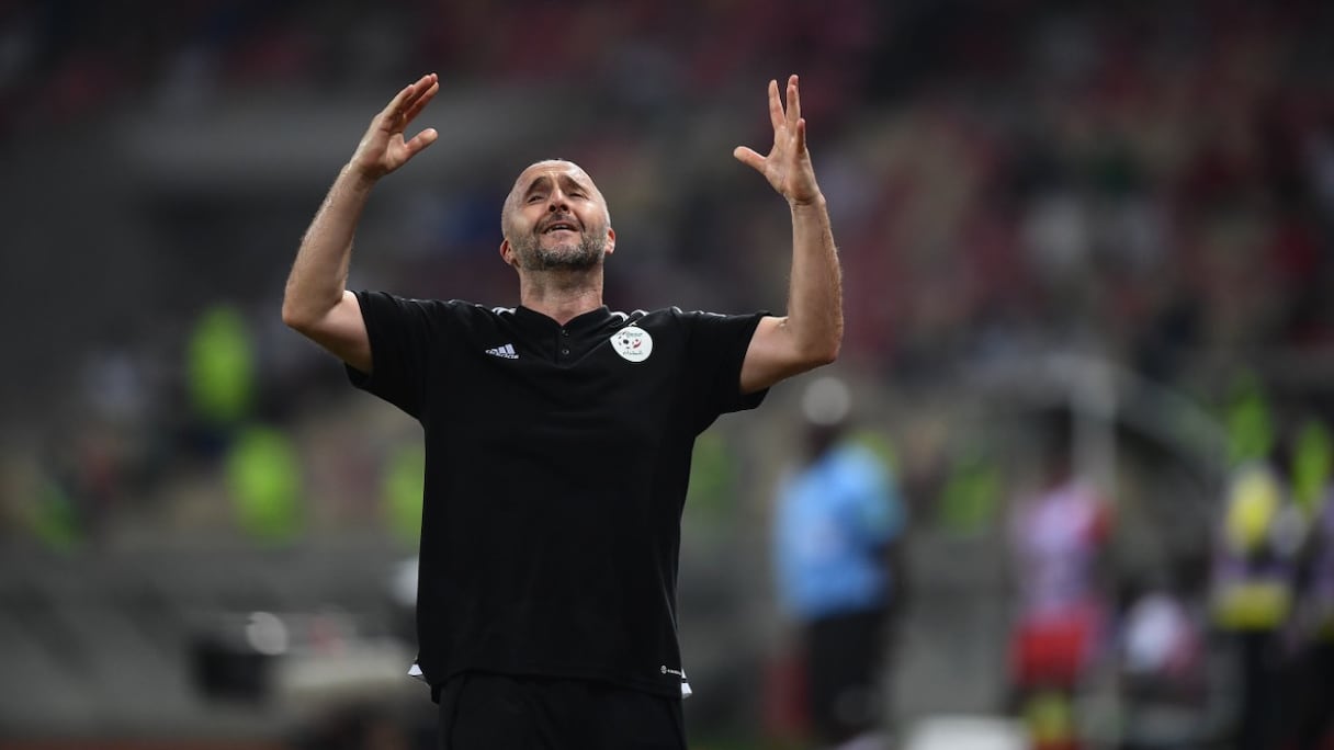 Djamel Belmadi, sélectionneur de l'Algérie.