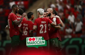 Lions de l'Atlas - Footix