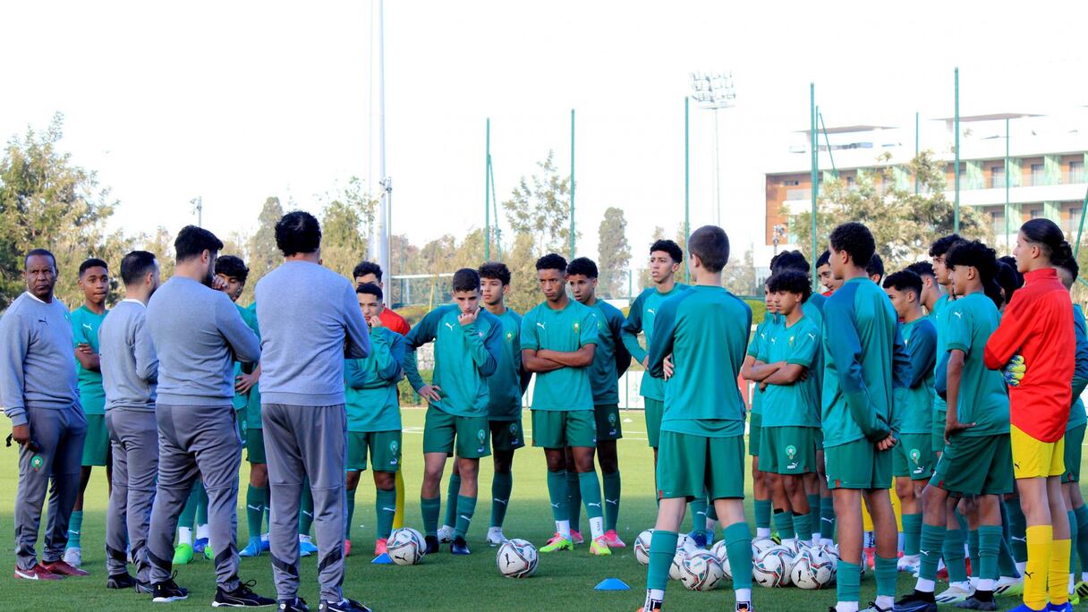 Lionceaux de l'Atlas en stage de préparation à Salé
