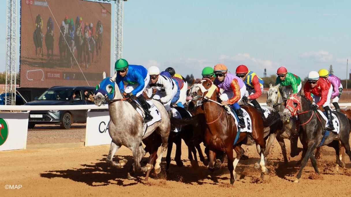 Marrakech : Grand Prix d’Afrique des courses de chevaux