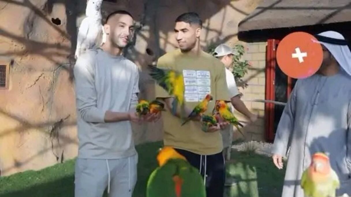 Hakim Ziyech et Achraf Hakimi