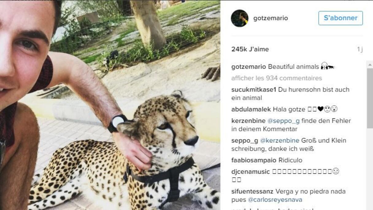 Mario Gotze s’éclate à Dubai. Il a récemment posté une photo ou on le voit caressant … un jaguar. La star allemande n’a pas eu froid aux yeux.
