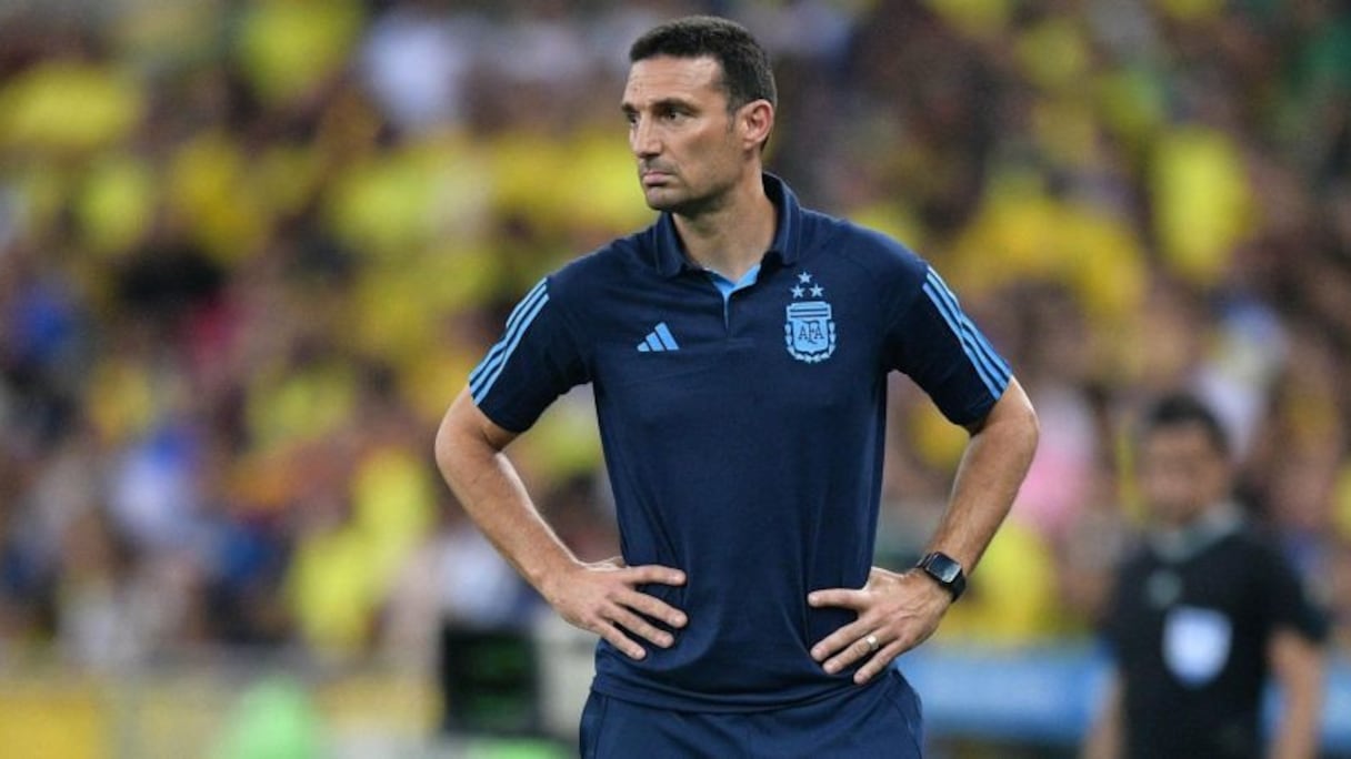 Lionel Scaloni, sélectionneur de l'Argentine