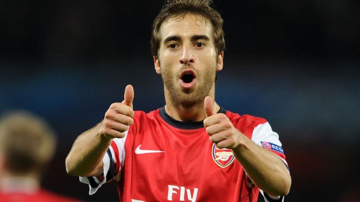 Mathieu Flamini, roi des bioénergies et futur milliardaire ?