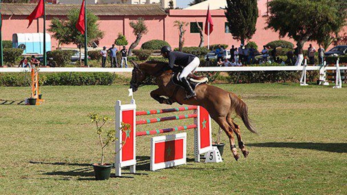 Un concours de saut d’obstacles.