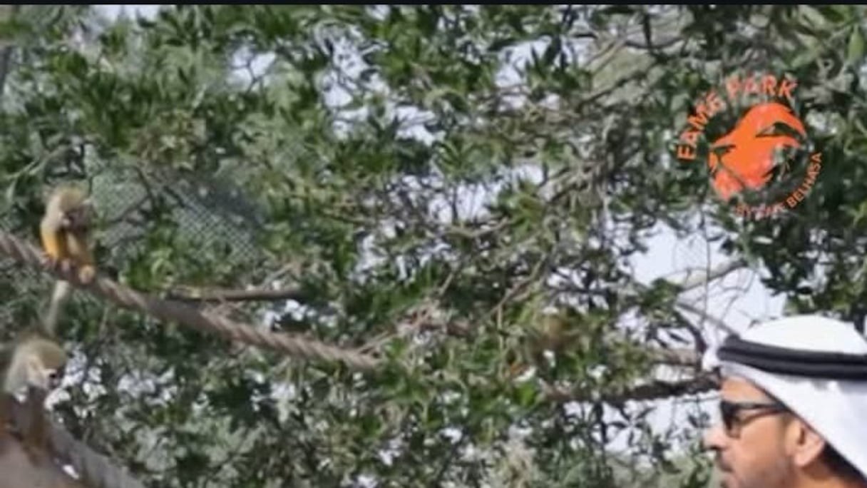 Hakim Ziyech et Achraf Hakimi