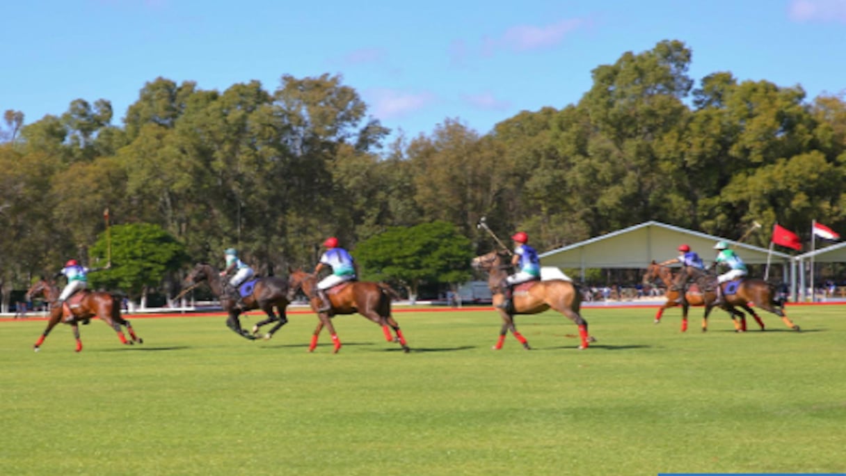 Un match de polo (photo d'illustration).