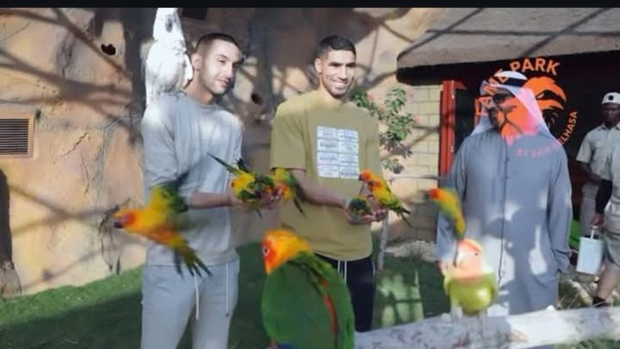 Hakim Ziyech et Achraf Hakimi