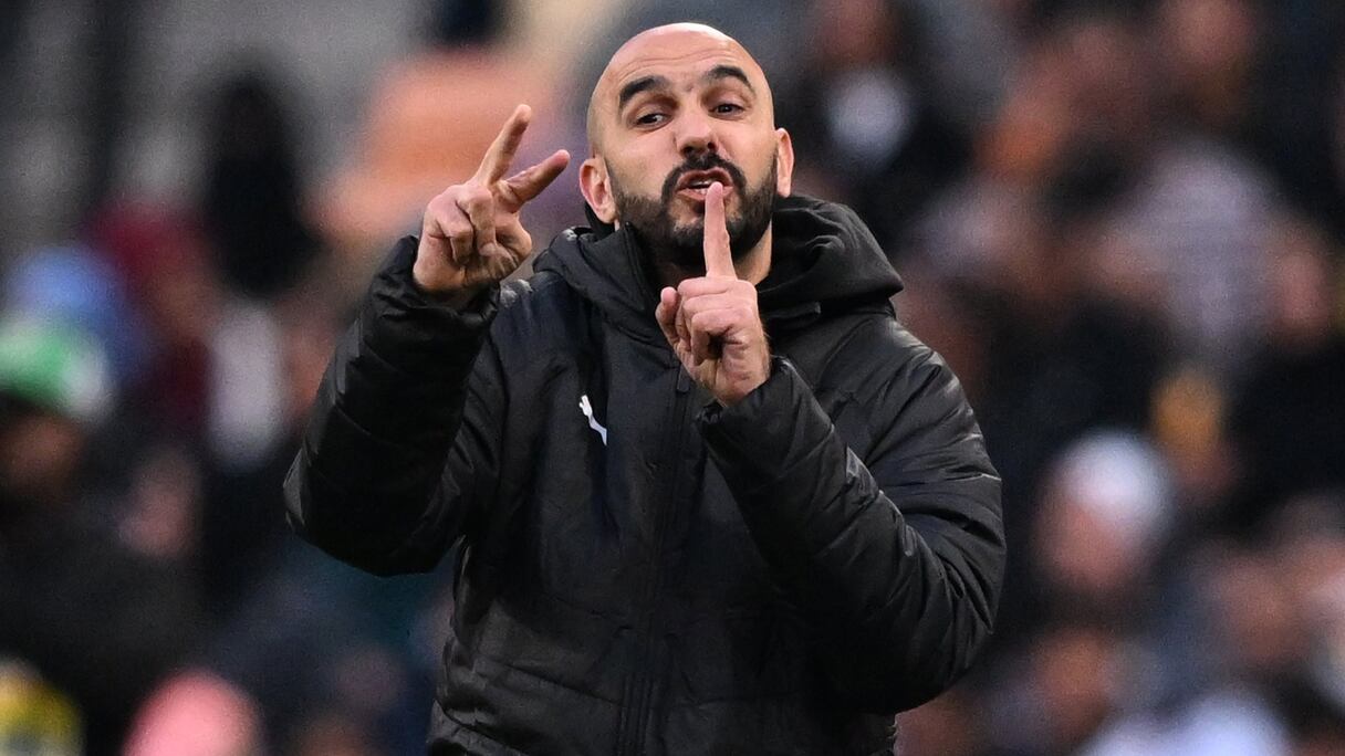 Walid Regragui, sélectionneur des Lions de l'Atlas.