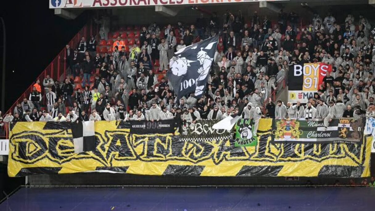 Des rats morts lancés en tribunes lors d'un match en Belgique.