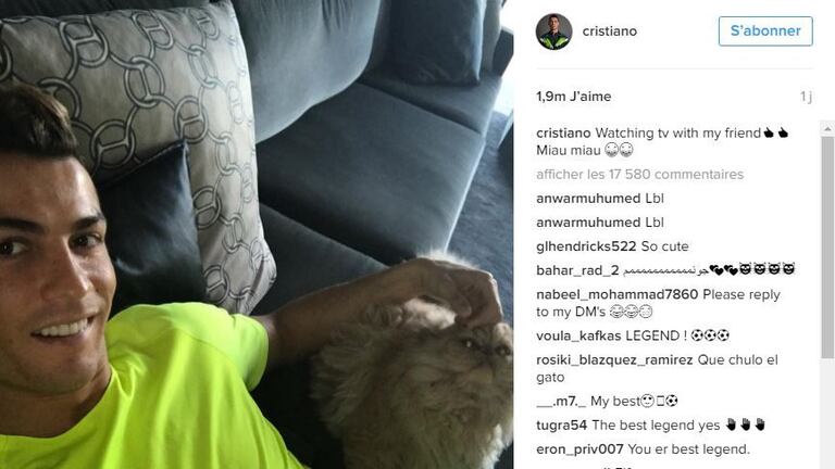 Après l’effort, le réconfort. Cristiano Ronaldo profite de ses vacances en regardant, tranquillement, la télévision avec son chat.